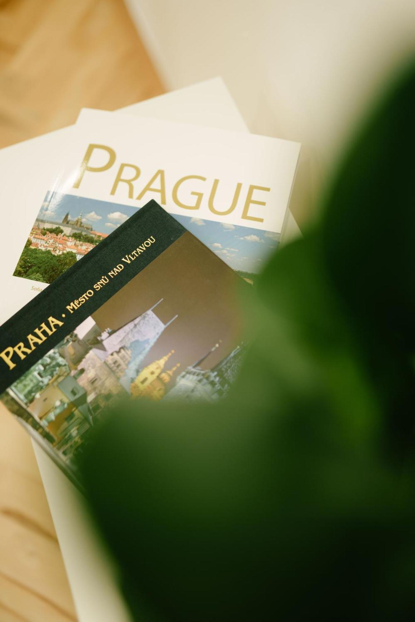 Apartmán Godiland Praha
